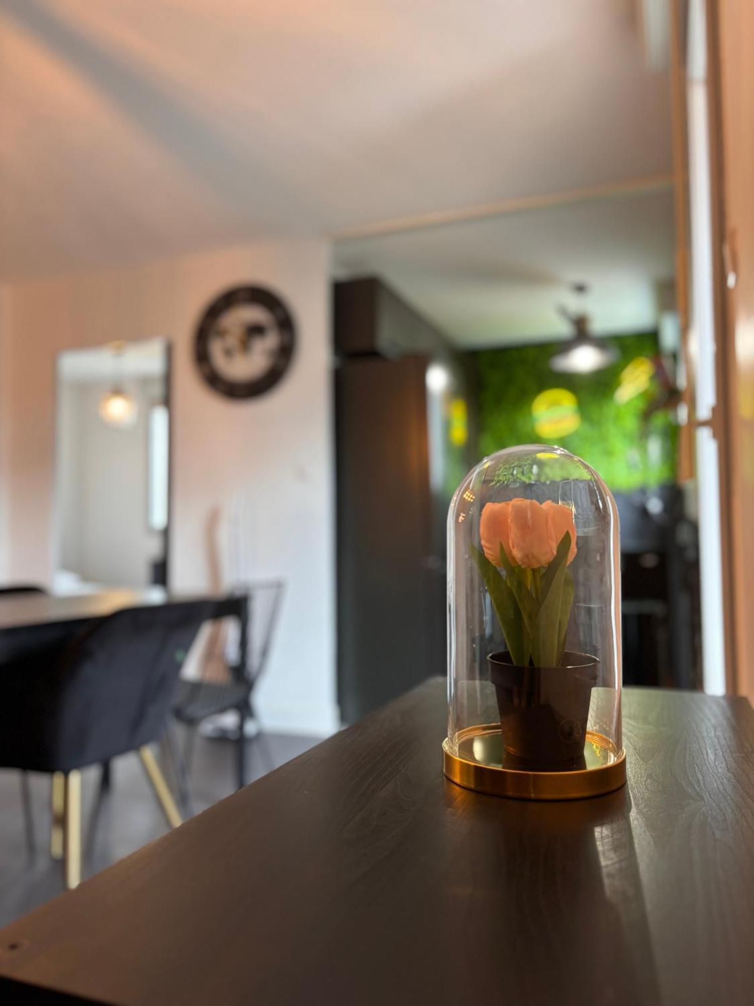 Charmant Appartement Toulouse Kültér fotó